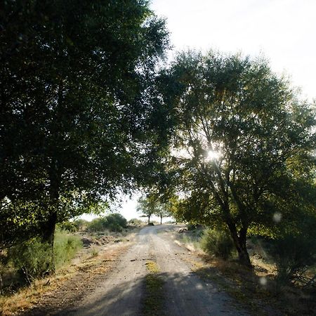 A Lagosta Perdida Montezinho Экстерьер фото
